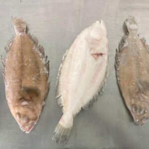 Pescados gallo congelados. Aislados sobre fondo gris