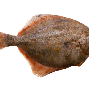 pescado platija