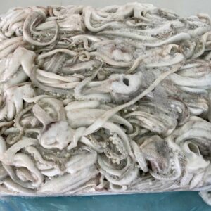 patas de pota congelados la venta en el mercado de pescado, dispuestos en una caja y en una bolsa