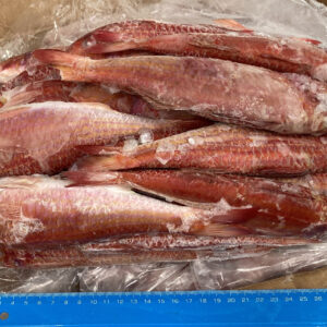 salmonetes en bloque congelados a la venta en el mercado de pescado, dispuestos en una caja y en una bolsa, encima hay una regla azul
